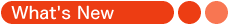 �X�V���